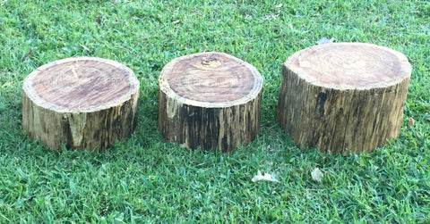 Tree Stumps